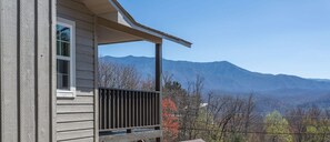 Amazing BackPorch Smoky Mountain Views!