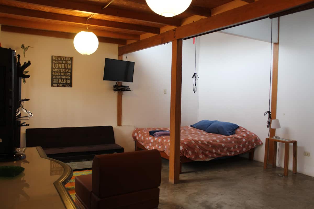 A room with a bed, a sofa, a TV, and a table.
