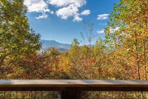Property grounds - Gorgeous Mt. LeConte Views/Gatlinburg/Spacious (Gatlinburg)
