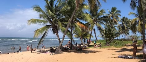 Una playa cerca