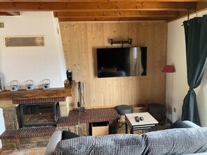 Smart TV, chimenea, reproductor de DVD y libros 