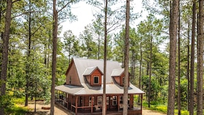 A log cabin with a metal roof, surrounded by tall trees.