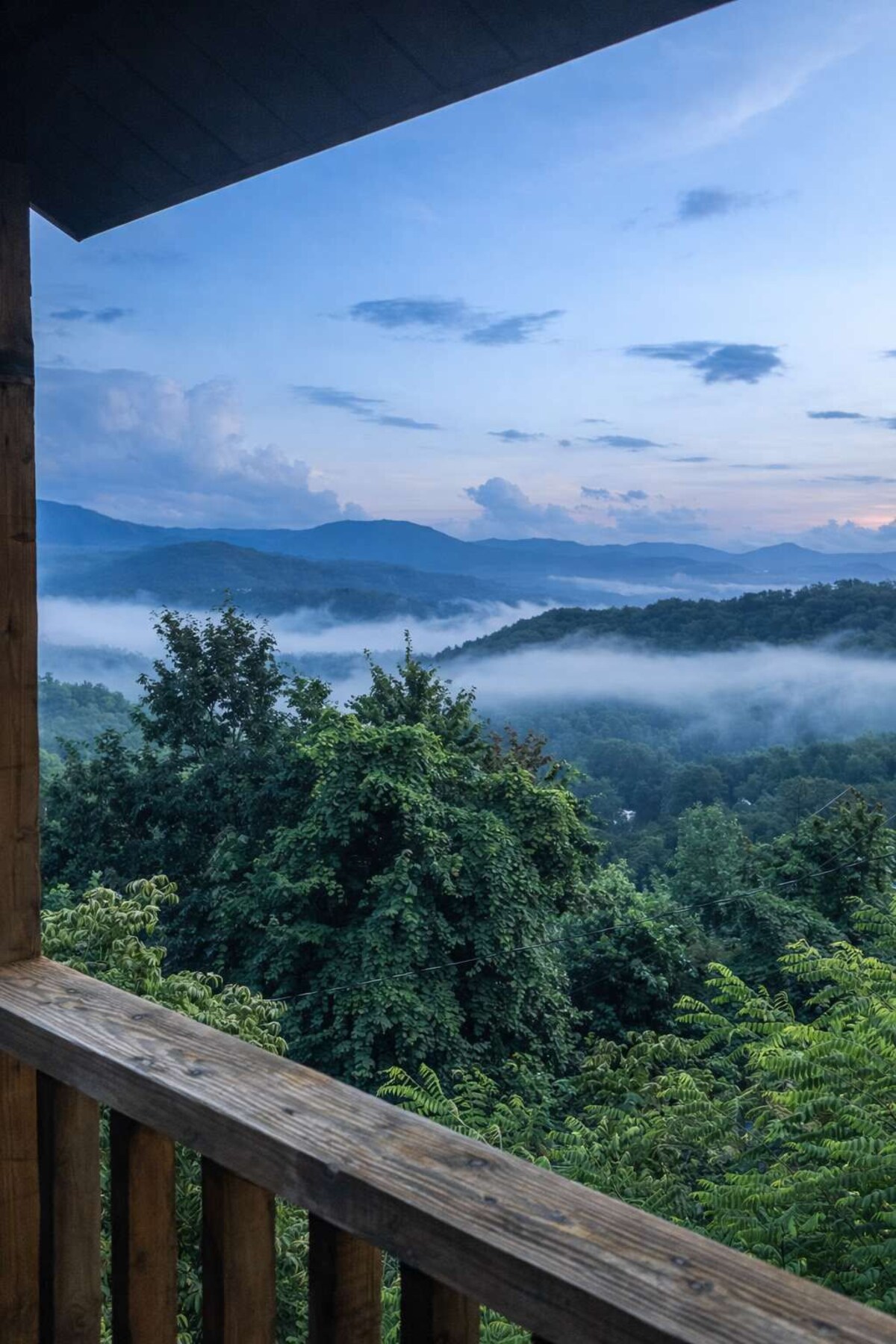 Imagen de perfil del propietario o de la propietaria