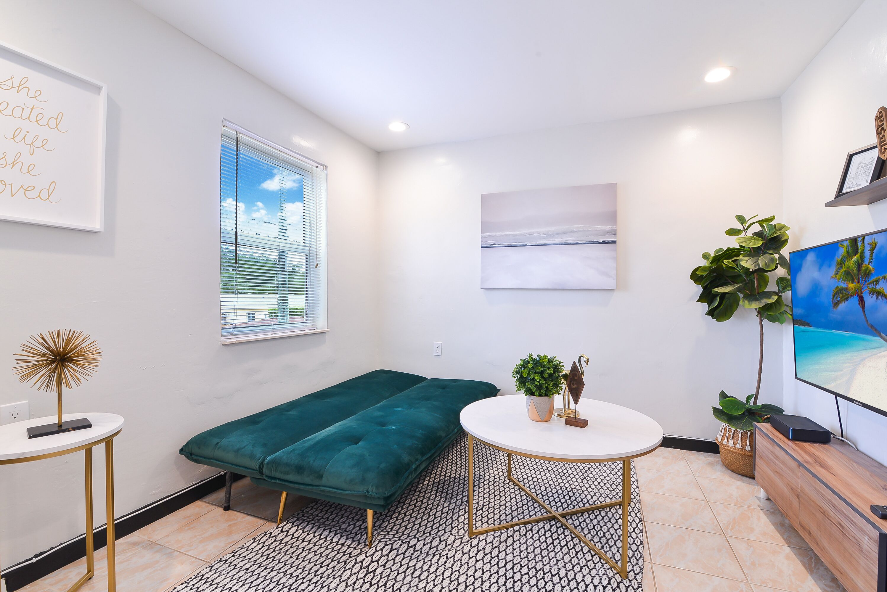 Flat-screen TV, books, music library, video library