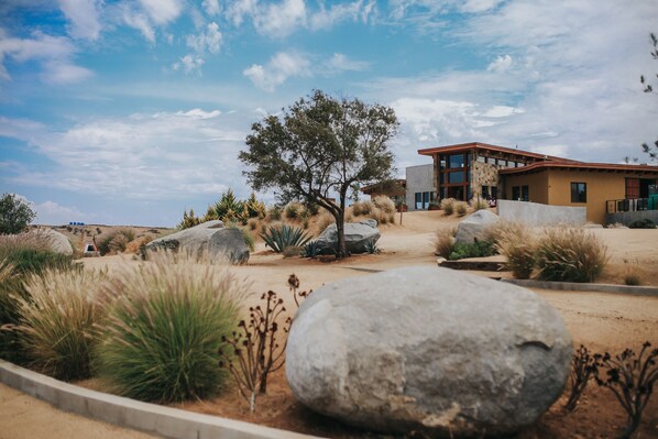 Property grounds - Rancho el Parral in Valle de Guadalupe Surrounded by nature (Ensenada)