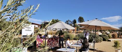 An outdoor café with tables and umbrellas, surrounded by olive trees and a sign reading "Aires de Lavanda".
