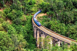 A train traveling on a bridge through a dense forest.
