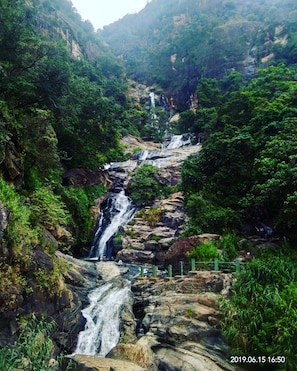 A waterfall cascading down a rocky slope surrounded by lush greenery.