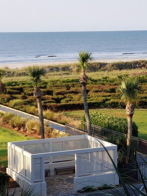 Property grounds - Beautiful Ocean View - Walk to Coligny (Hilton Head Island)