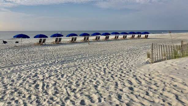 Ein Strand mit Reihen blauer Sonnenschirme und Liegestühle.