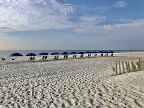 Accommodatie ligt op het strand, ligstoelen