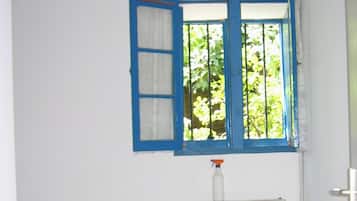 2 slaapkamers, een strijkplank/strijkijzer, internet