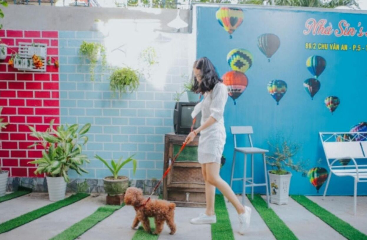 A person walking a dog on a leash in a courtyard with a brick wall, potted plants, and a blue wall with hot air balloon decorations.