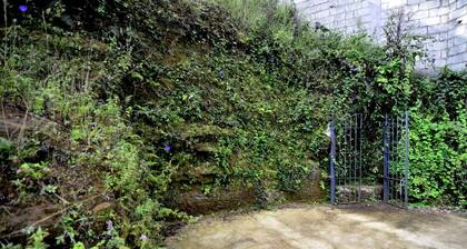 Casa da Mina, 3 bedrooms. Your home in Ouro Preto.