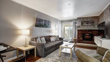 TV, fireplace, video games, DVD player