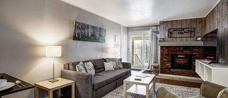 Televisión, chimenea, videojuegos, reproductor de DVD