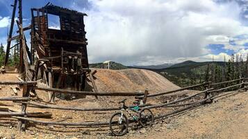 Combined shower/bathtub, hair dryer, towels