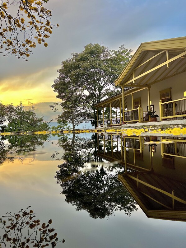 المنطقة المحيطة بالمنشأة