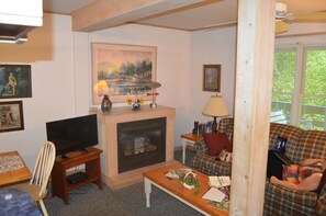 TV, fireplace, books