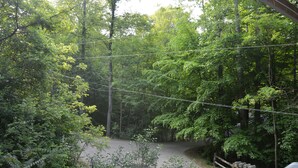 Ein bewaldetes Gebiet mit einem gepflasterten Weg, einem Holzzaun und einer Metallkonstruktion.