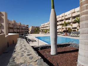 Un espace piscine avec des chaises longues, un palmier et un bâtiment doté de balcons.