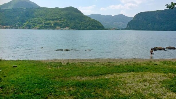 A lake with mountains in the background and a grassy area in the foreground. - Casa Riva by Interhome (Figino)