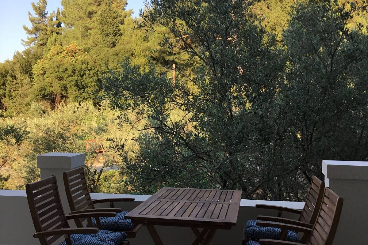 An outdoor patio with a wooden table and chairs, surrounded by trees and a clear sky.