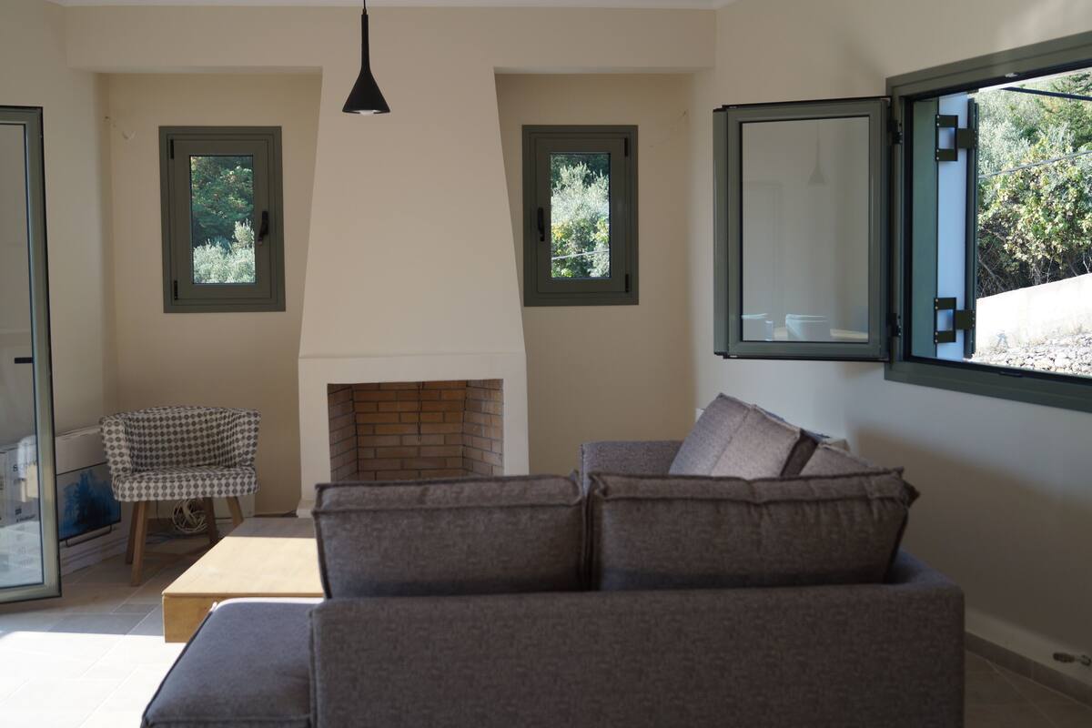 A living room with a sofa, a chair, a fireplace, and two windows.