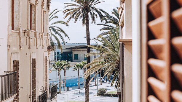 A narrow street with buildings on either side, palm trees, and a clear sky. - Ocho Suites & Kitchen (Palma de Mallorca)