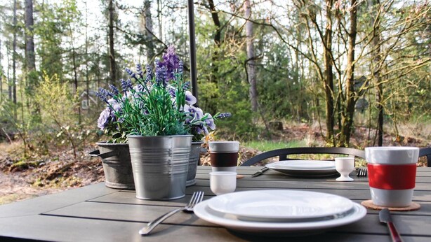 A table set outdoors with a potted plant, plates, cups, and cutlery. - Stunning home in Ommen with WiFi (Ommen)