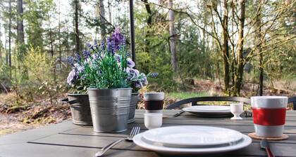 Stunning home in Ommen with WiFi