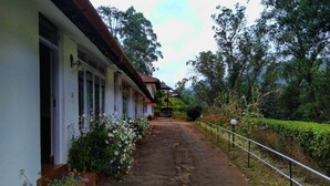 Jardín