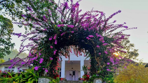 Jardín