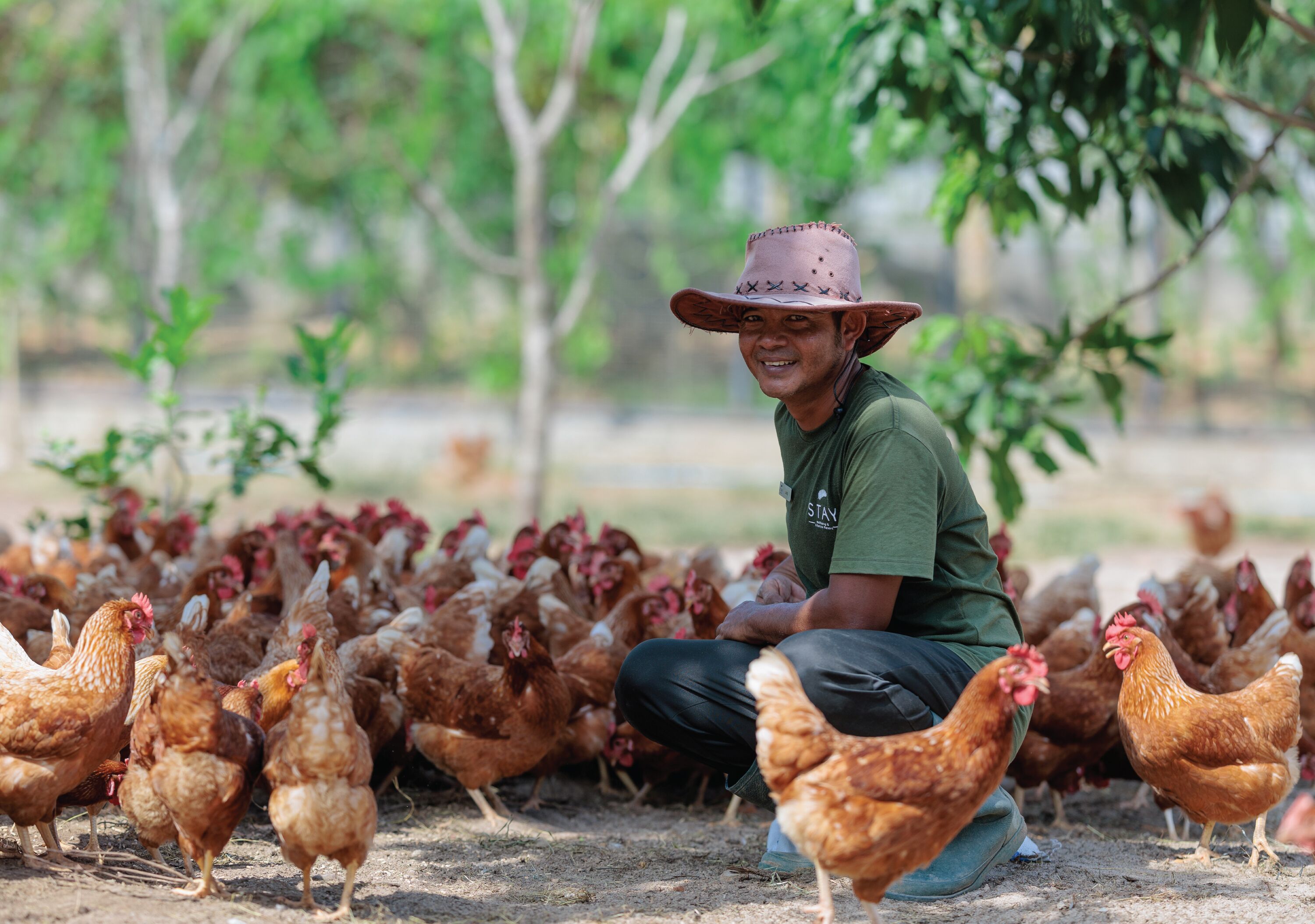 A person crouching among chickens in an outdoor setting.