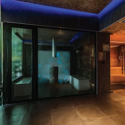 Couples treatment room(s), sauna, steam room