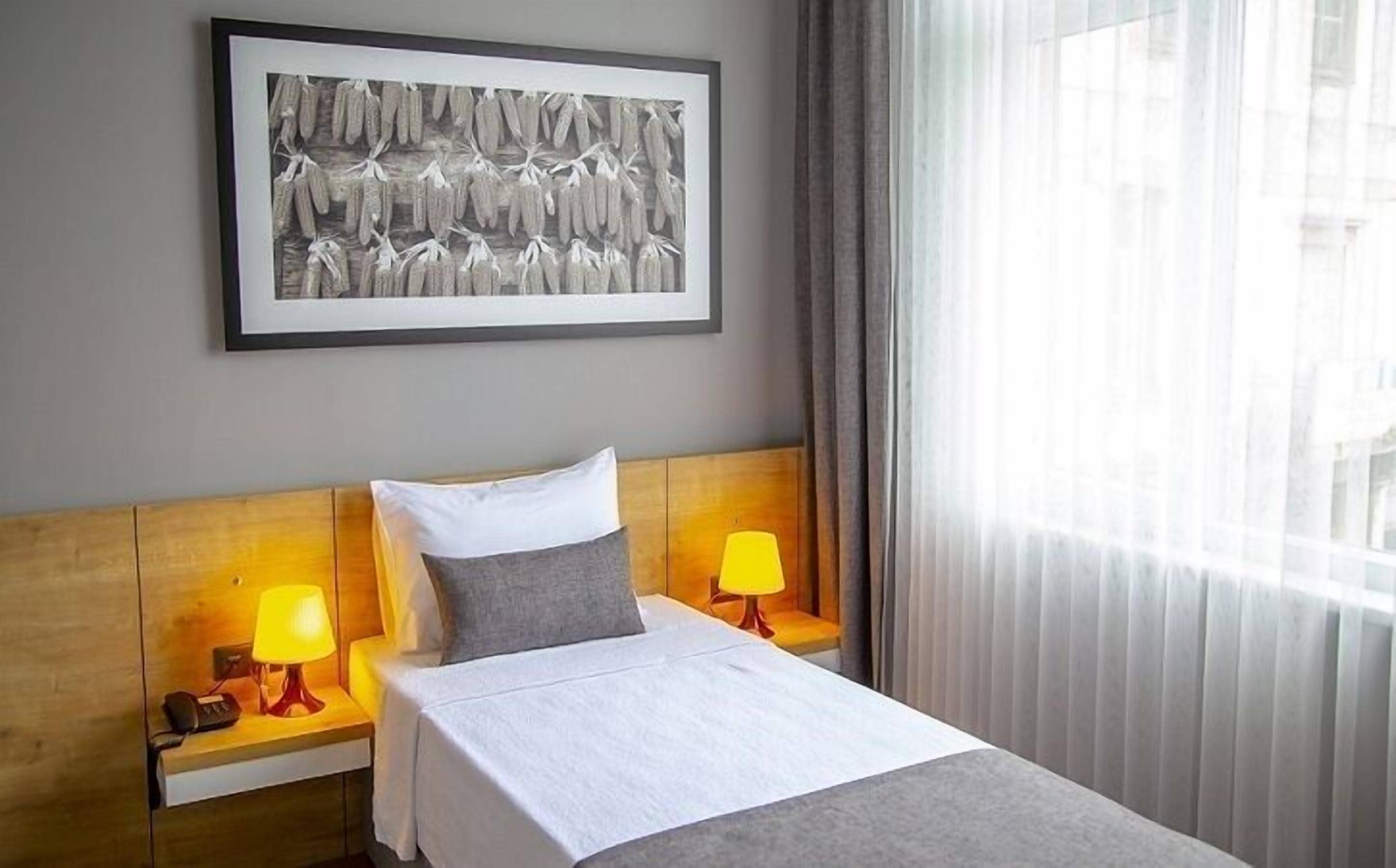 single room | 1 bedroom, in-room safe, desk, laptop workspace