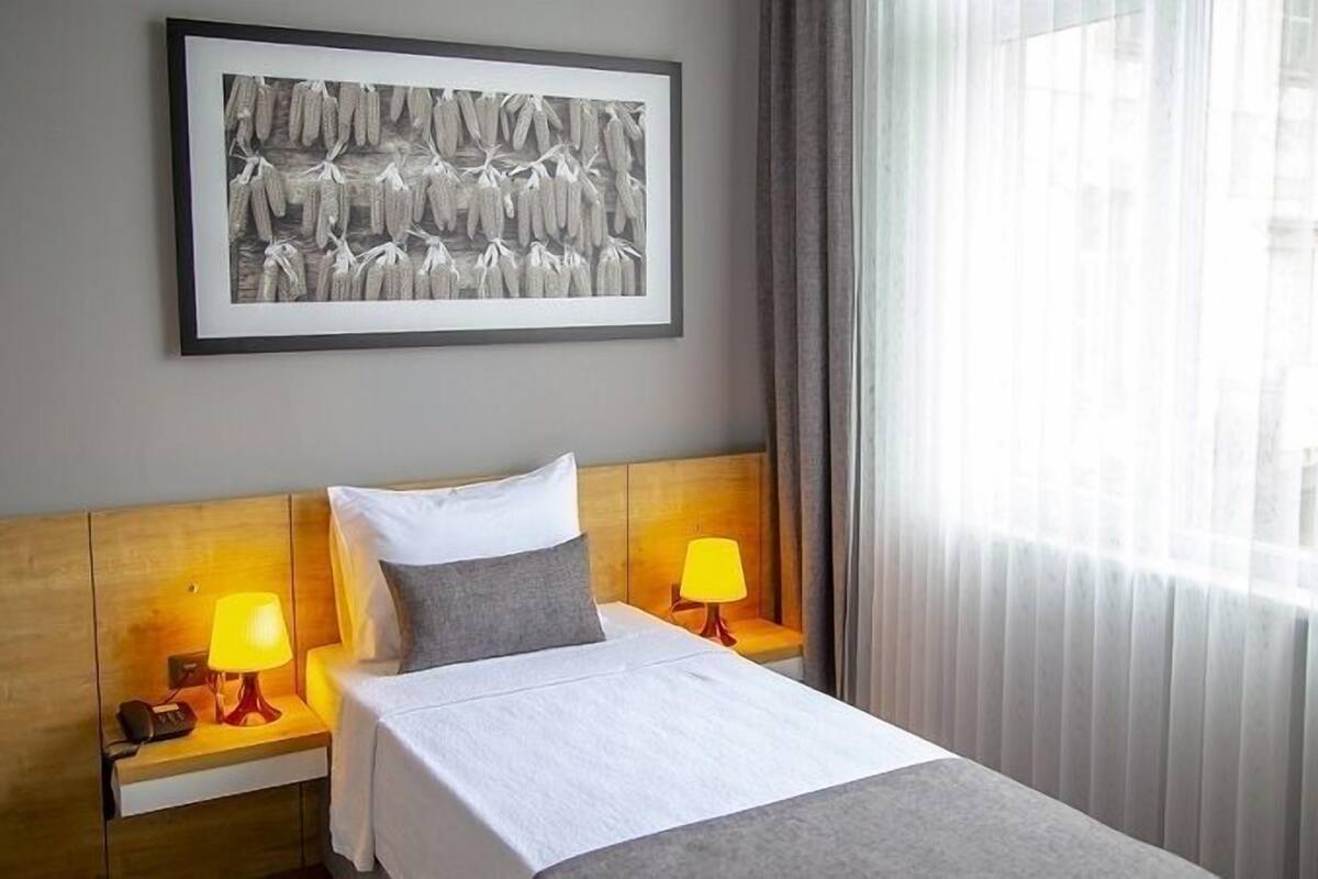 single room | 1 bedroom, in-room safe, desk, laptop workspace