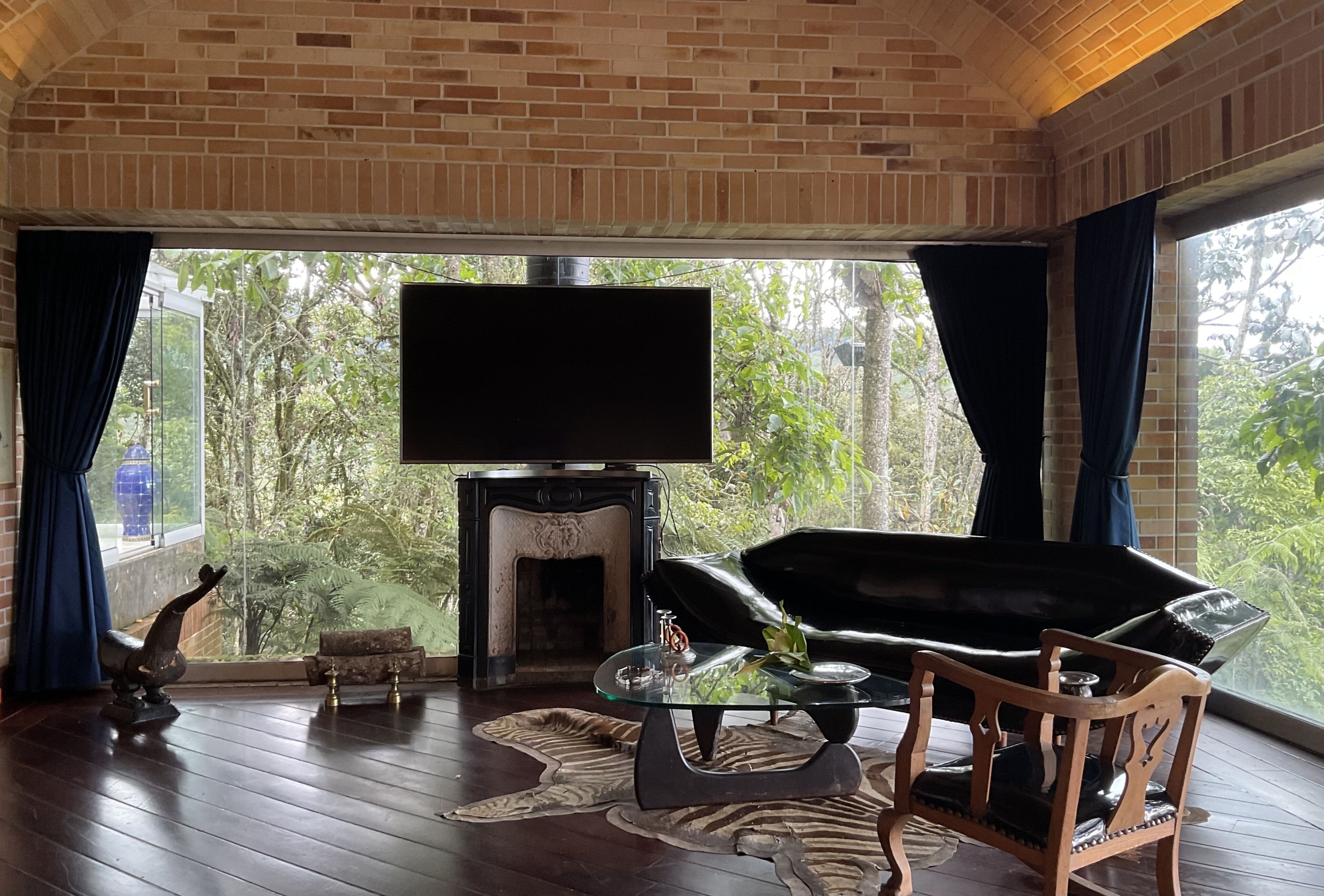 Smart TV, lareira, livros