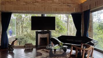 TV connectée, cheminée, livres