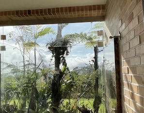 A view through a window with a brick wall and a glass door, featuring a lush garden with various plants and a palm tree. - CASA FINCA BOSQUE DE FIZEBAD (Retiro)