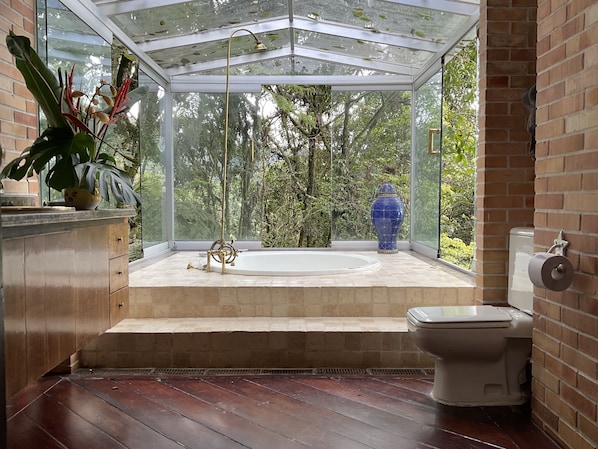 Combined shower/tub, jetted tub, hair dryer, towels