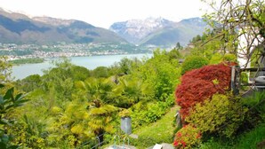 A pool surrounded by lush greenery and a mountainous landscape.