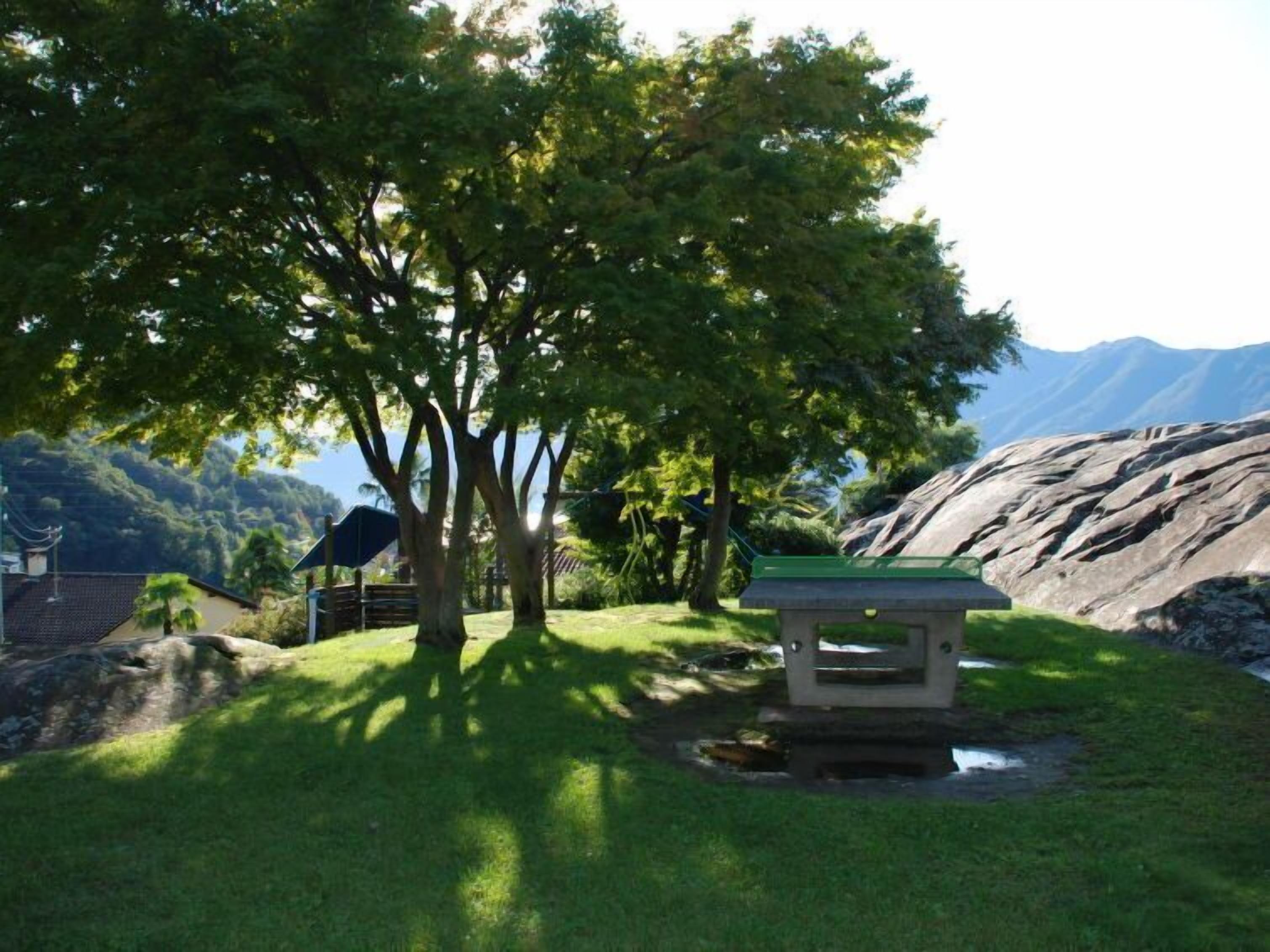 A picnic table in a grassy area with trees and a mountain backdrop.