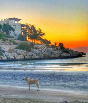 Una spiaggia nelle vicinanze