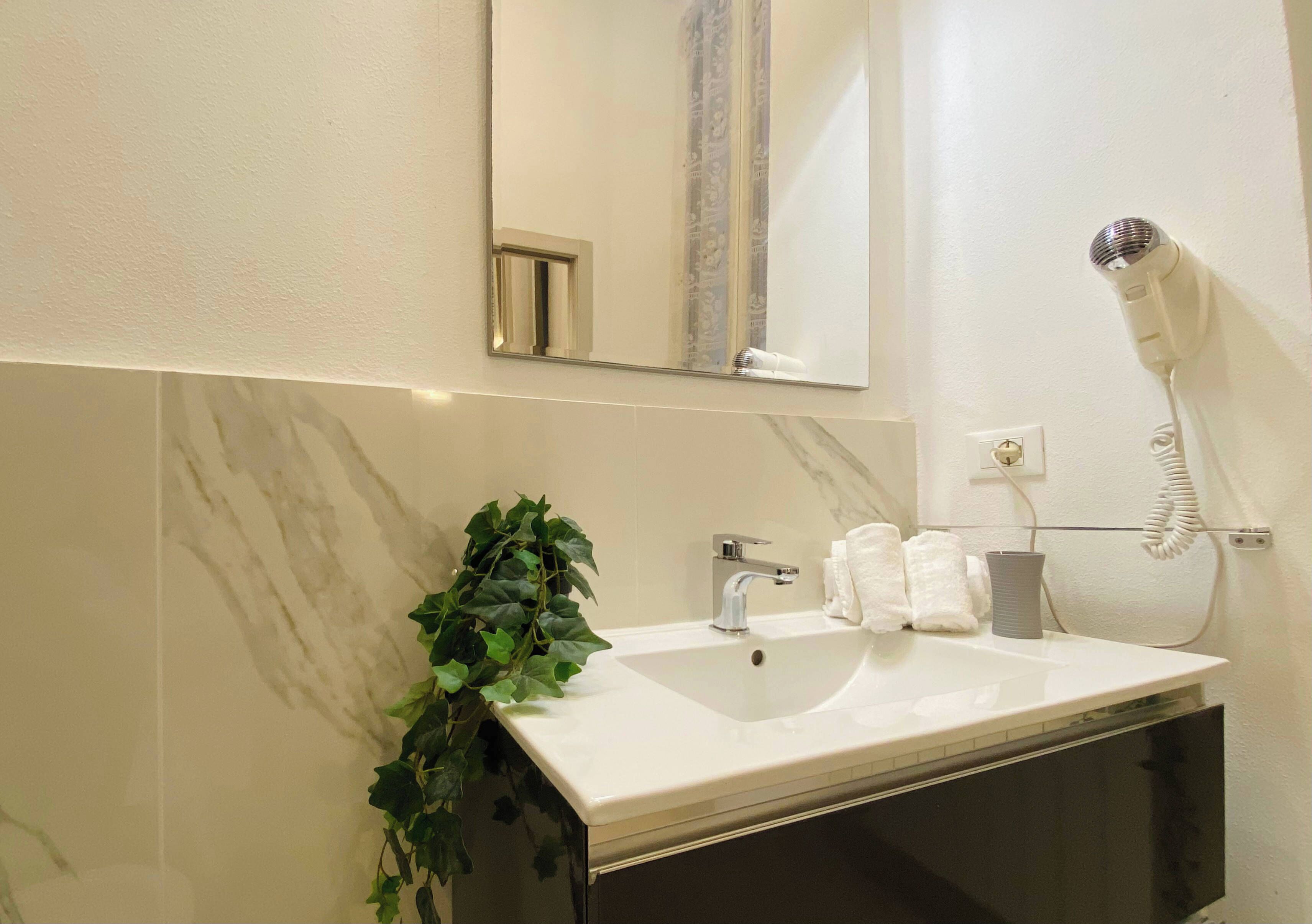 Une salle de bain avec un lavabo blanc, un miroir, un sèche-cheveux et une plante en pot.