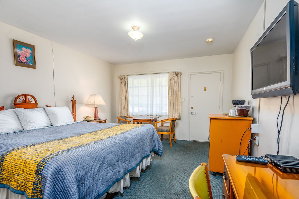 A hotel room with a bed, a desk, a chair, a television, and a window with curtains.