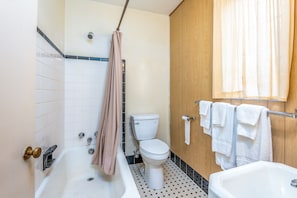 Basic Room, 1 Queen Bed, Mountain View | Bathroom | Free toiletries, hair dryer, towels