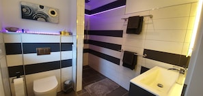 Ducha, secador de pelo, toallas y jabón