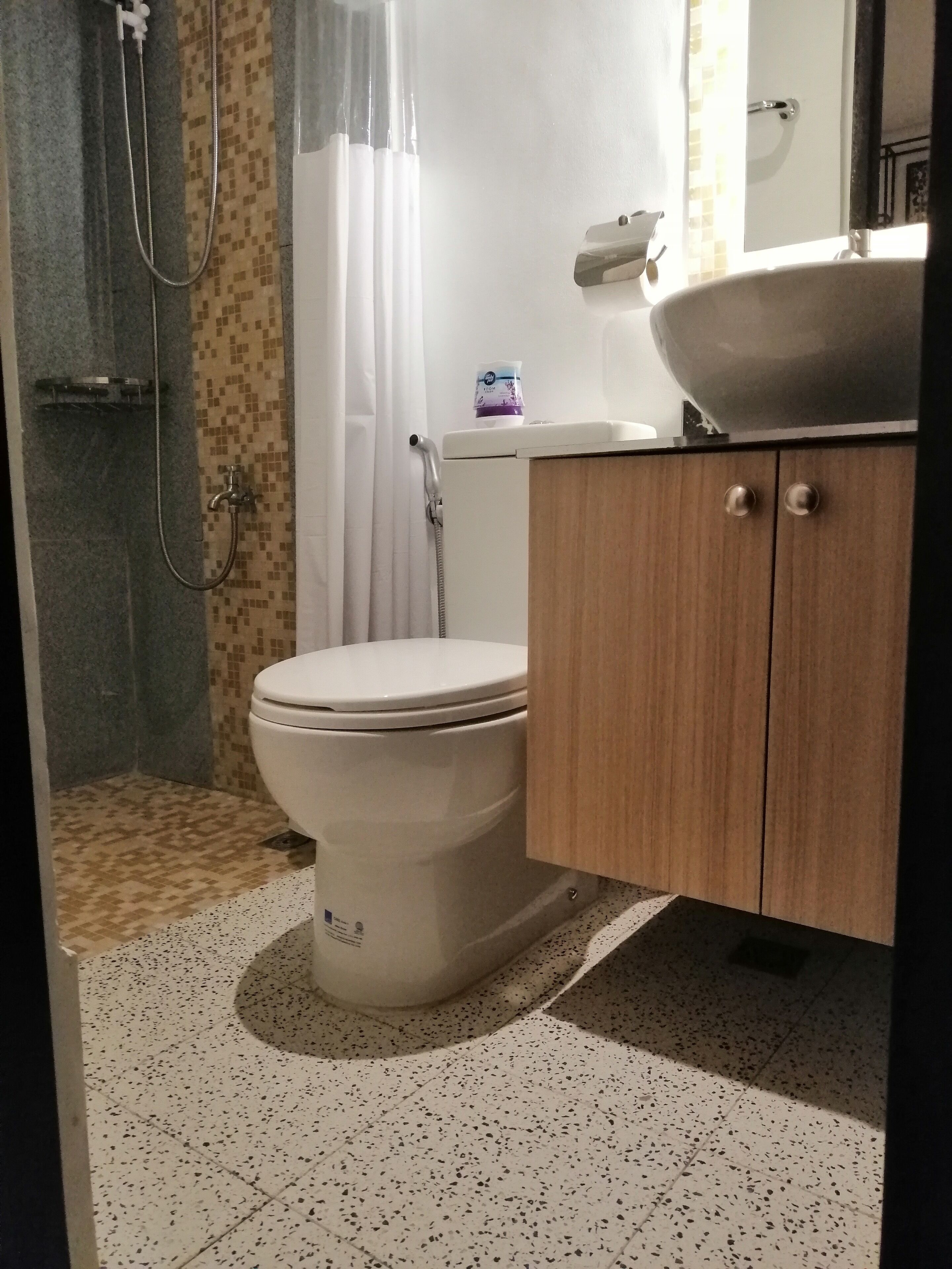 A bathroom with a toilet, shower, and sink.