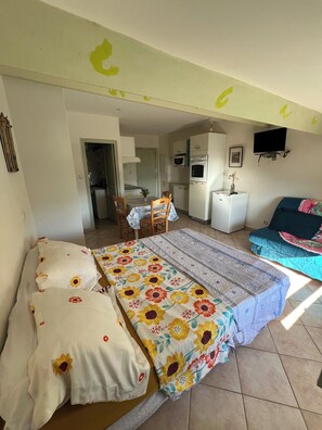 A bedroom with a bed, a sofa, a dining table with chairs, a TV, and a kitchenette.